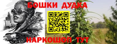 дживик Лесосибирск