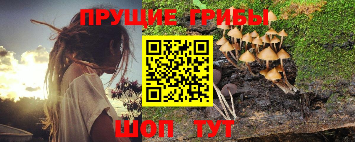 Ханты-Мансийск  Галлюциногенные грибы Psilocybe  Вход с VPN 